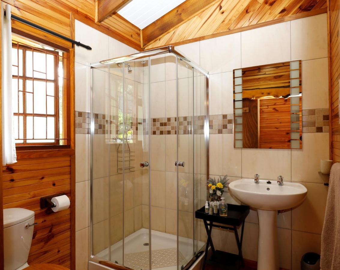 Big Tree House Lodge Knysna Eksteriør billede