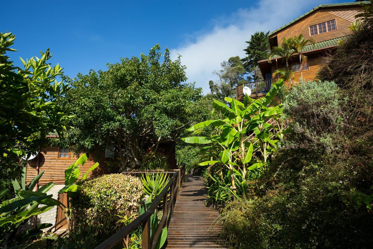 Big Tree House Lodge Knysna Eksteriør billede