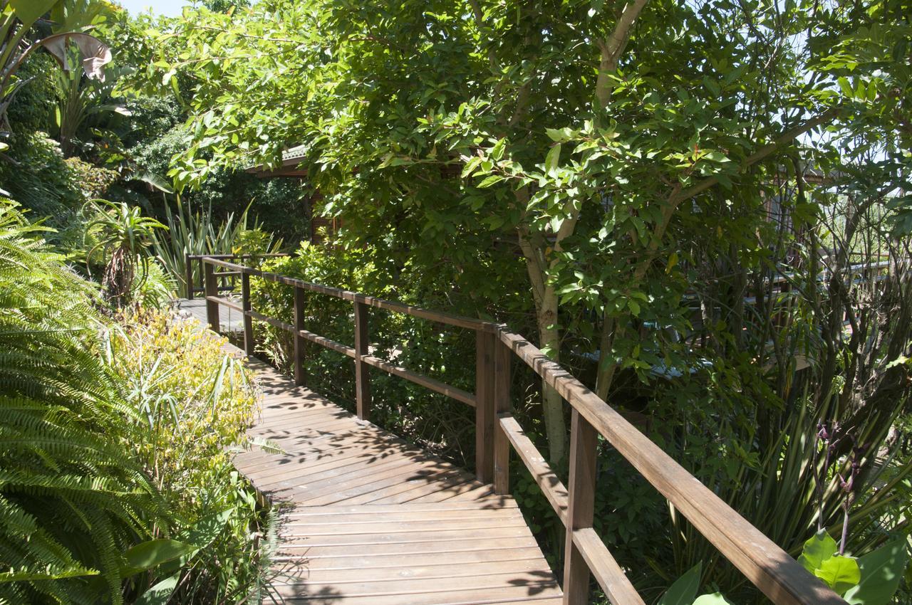 Big Tree House Lodge Knysna Eksteriør billede