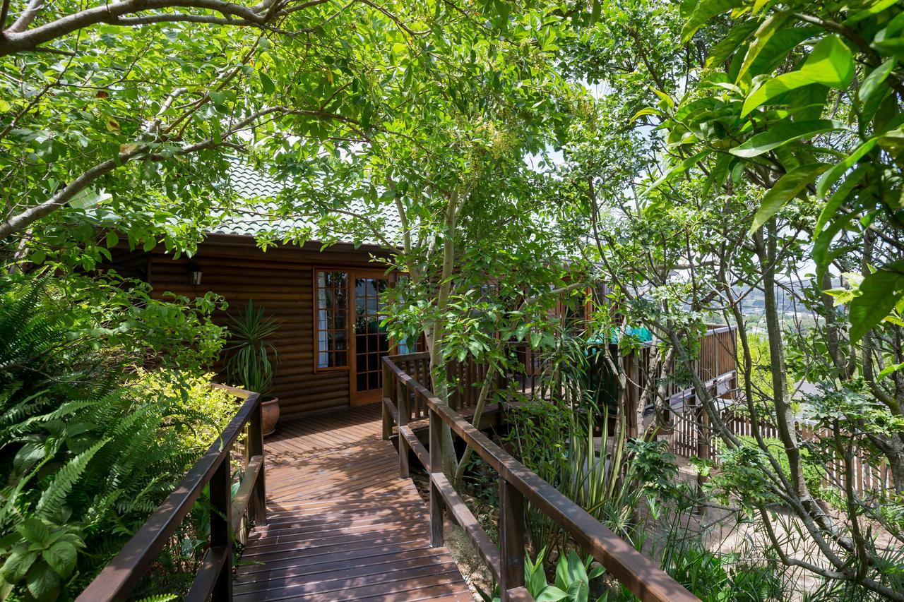 Big Tree House Lodge Knysna Eksteriør billede